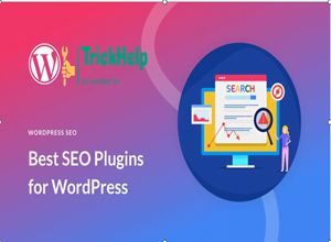 Unleash the Power of the Best SEO Plugin for WordPress